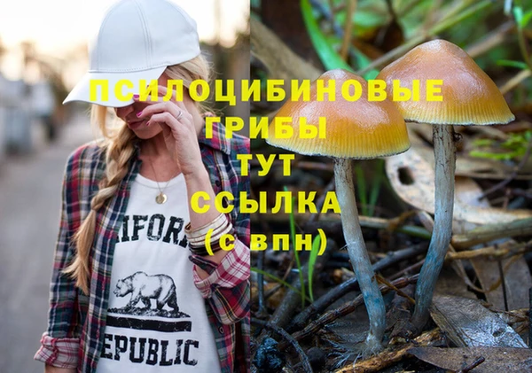 МДПВ Белокуриха