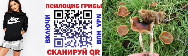 Псилоцибиновые грибы ЛСД  Красноуральск 